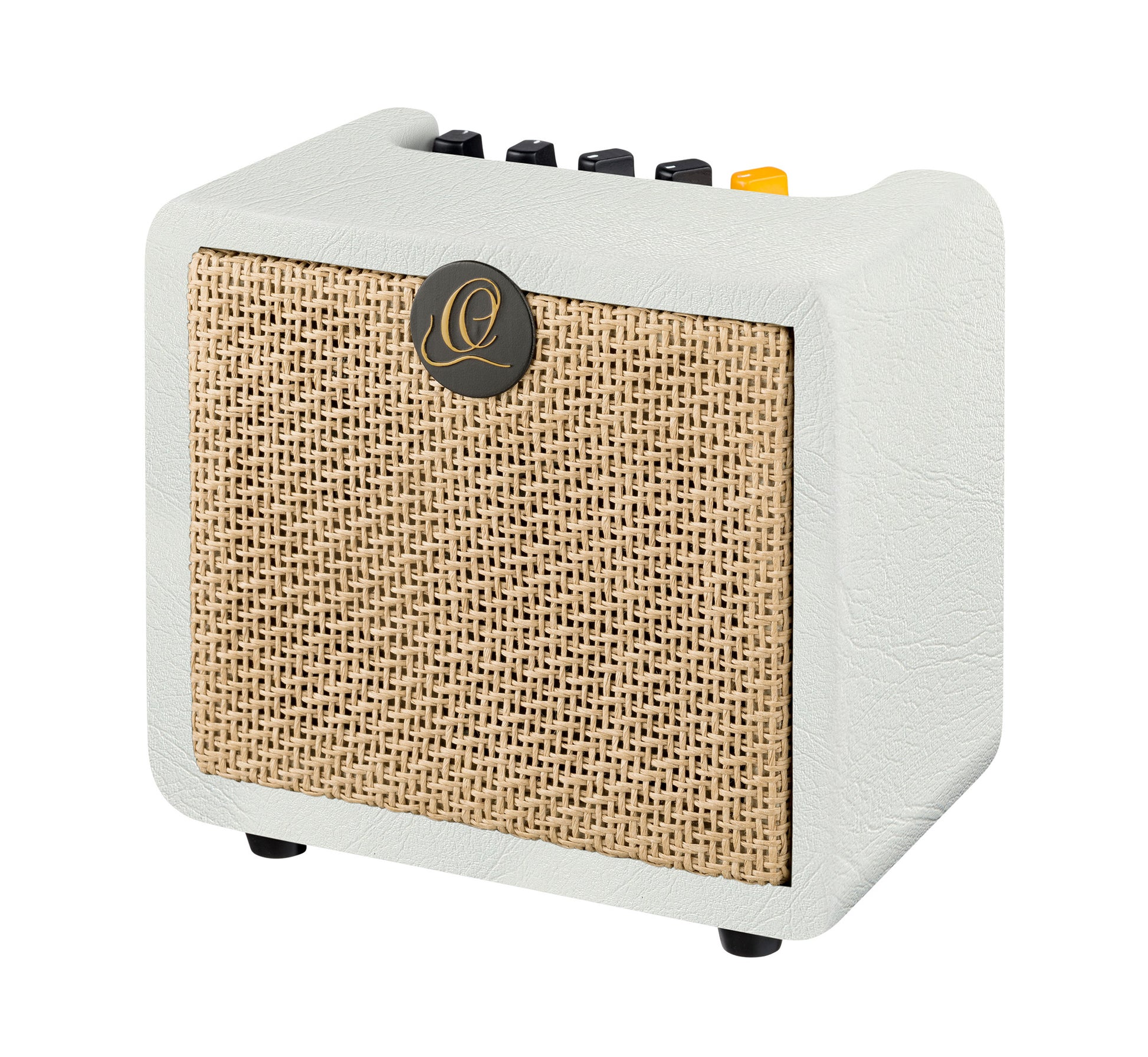 PTWO-LTD, ampli combo guitare acoustique 12W, Streaming Bluetooth, sortie casque, delay, reverb & chorus intégrés, simili cuir