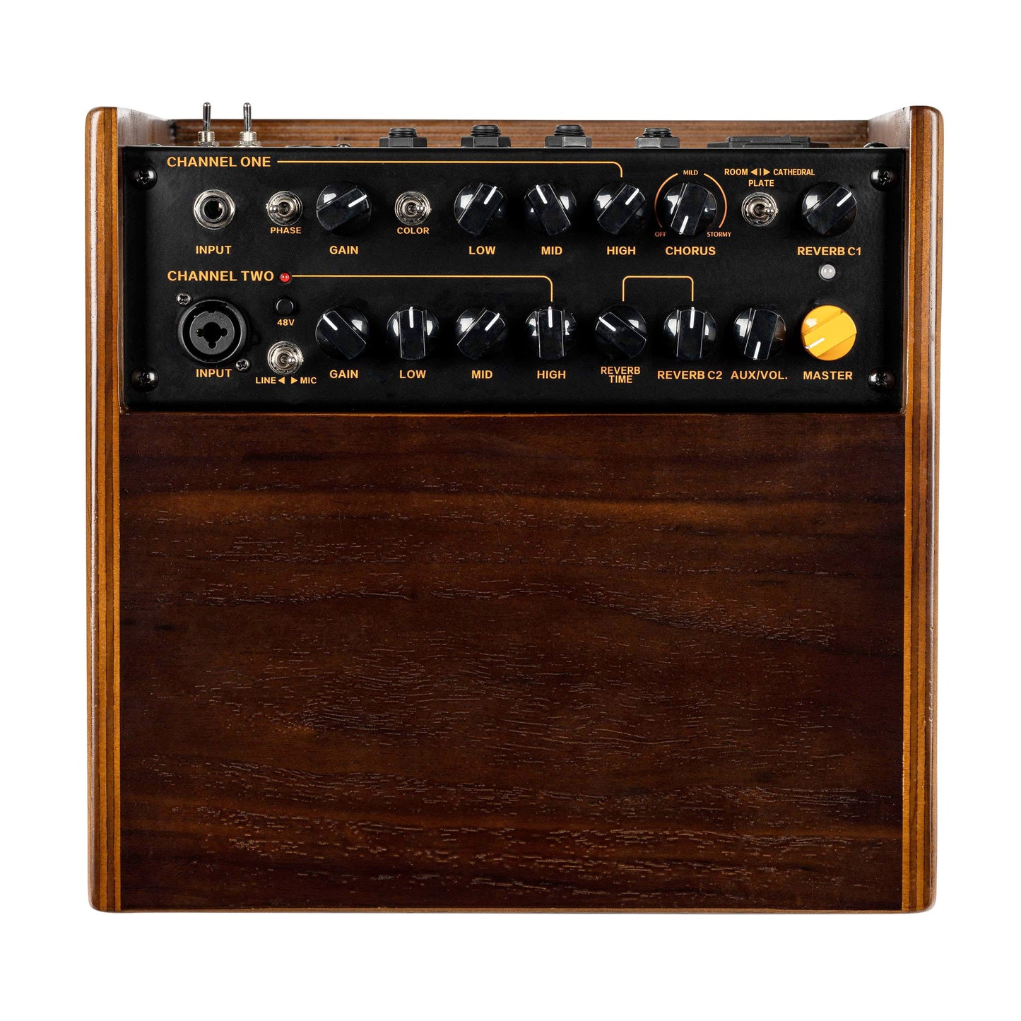 CONE-WND, ampli combo guitare acoustique 100W, deux canaux, réverb & chorus intégrés, avec housse, noyer foncé satiné et noir