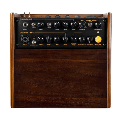 CONE-WND, ampli combo guitare acoustique 100W, deux canaux, réverb & chorus intégrés, avec housse, noyer foncé satiné et noir