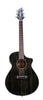 Breedlove Rainforest S Concert CE Black Gold
