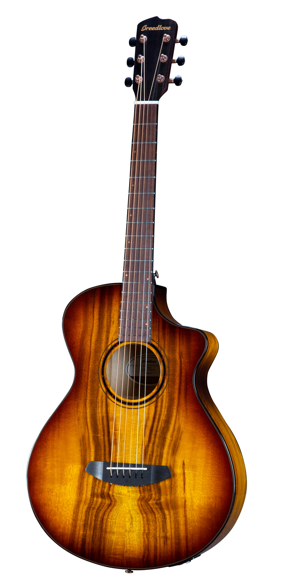 PURSUIT EXOTIC S CONCERTINA TIGER'S EYE CE, table myrtlewood massif, f/e myrtlewood, EQ Fishman Presys I, tiger's eye