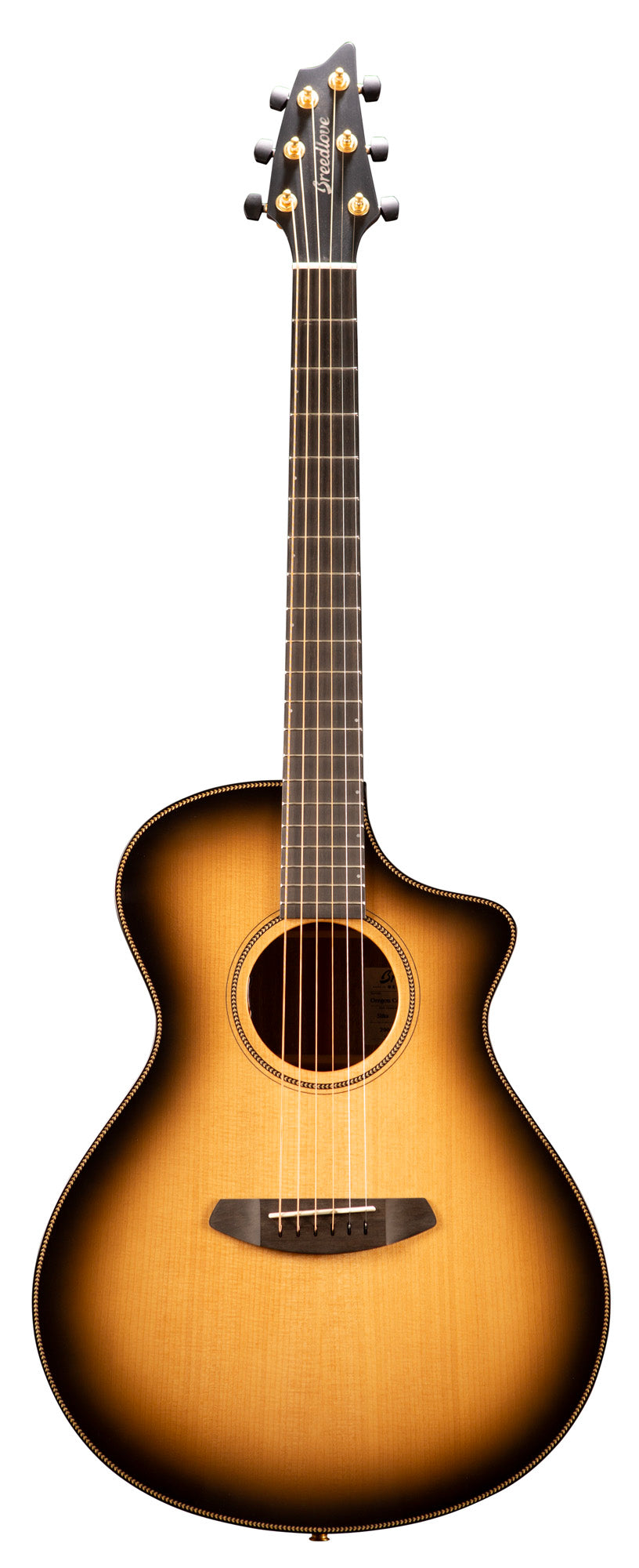 OREGON CONCERT CE, table épicéa Sitka massif, f/e myrtlewood massif, EQ LR Baggs EAS VTC, étui, saddleback