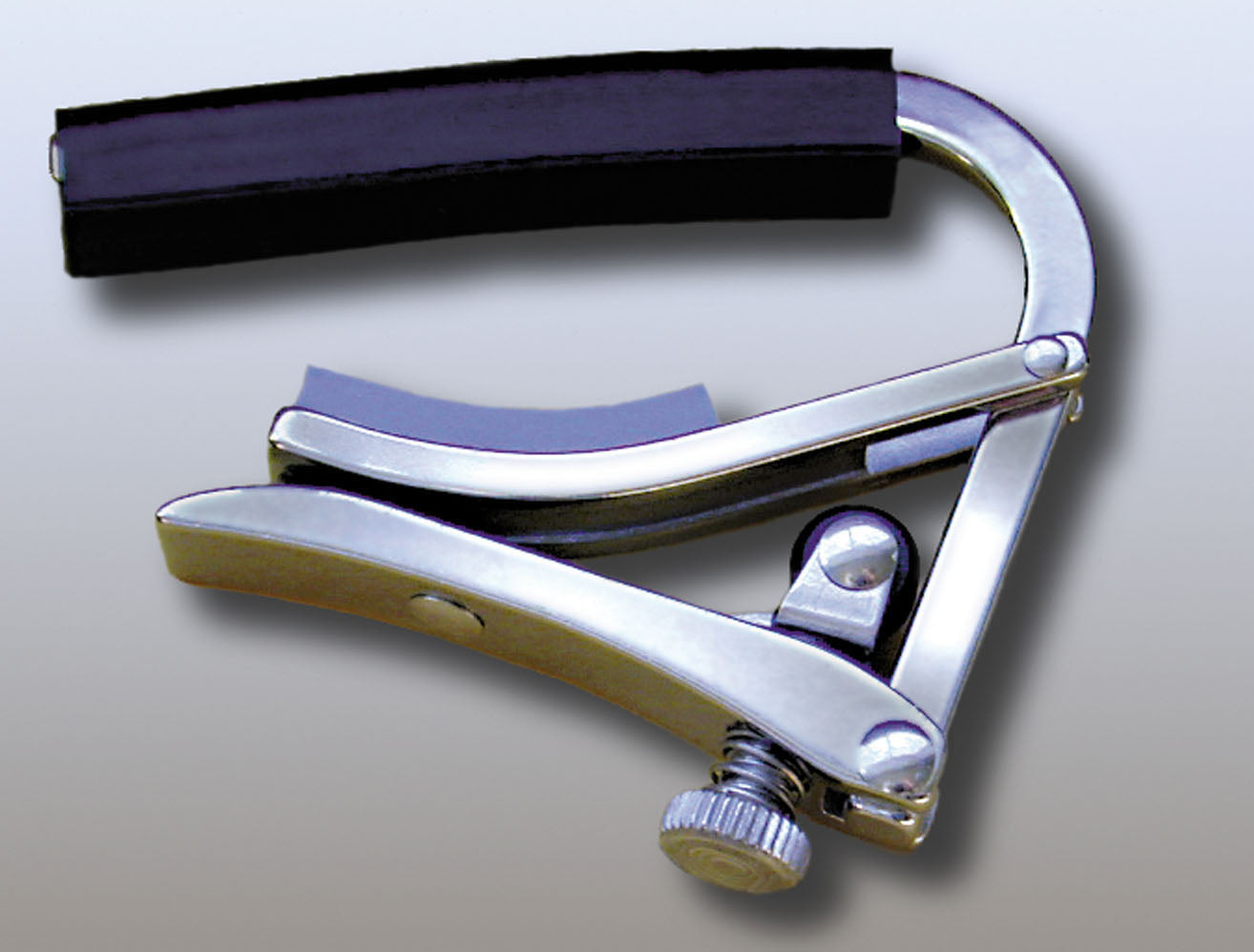 Deluxe, pour western/électrique, acier inoxydable