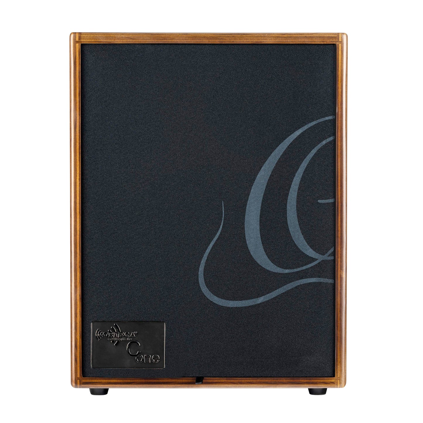 CONE-WND, ampli combo guitare acoustique 100W, deux canaux, réverb & chorus intégrés, avec housse, noyer foncé satiné et noir
