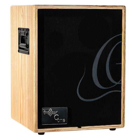 CONE-ASH, ampli combo guitare acoustique 100W, deux canaux, réverb & chorus intégrés, avec housse, frêne naturel satiné et noir