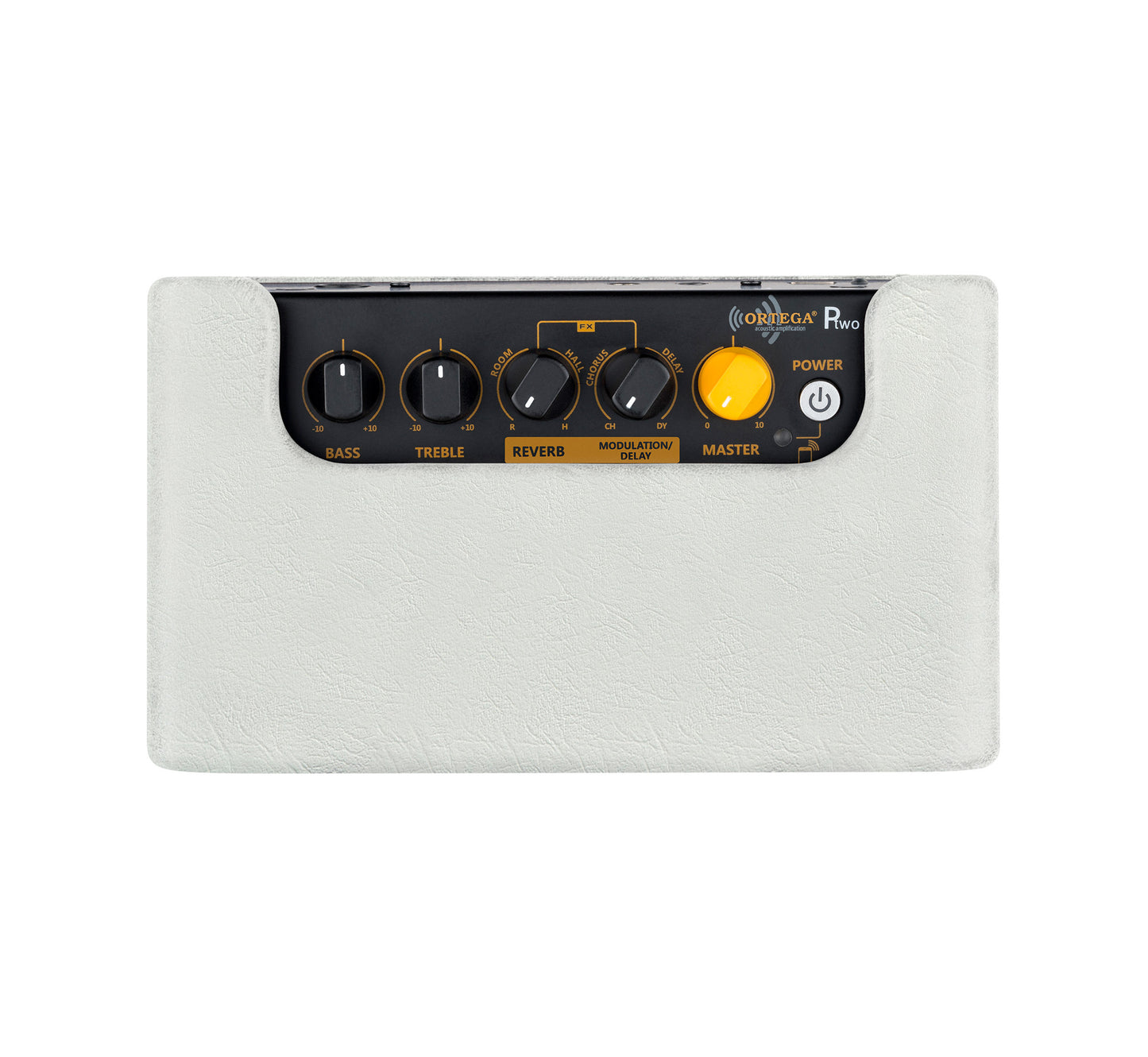 PTWO-LTD, ampli combo guitare acoustique 12W, Streaming Bluetooth, sortie casque, delay, reverb & chorus intégrés, simili cuir