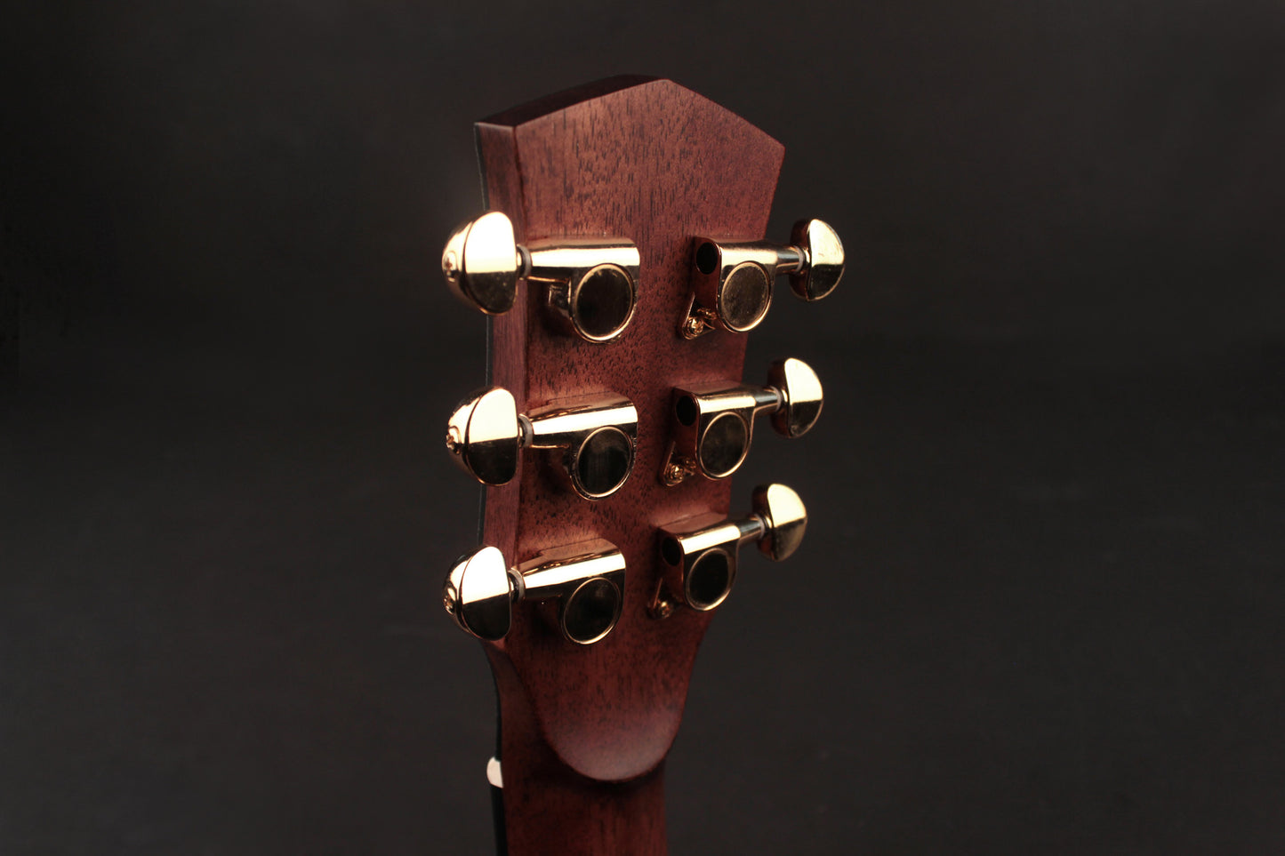 GOLD-MINI, forme Dreadnought 3/4, table épicéa massif torréfié, f/e acajou massif, avec housse, naturel brillant