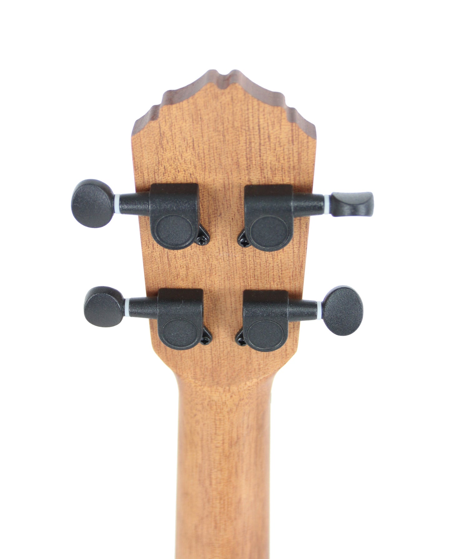 RFEU-5, exclu France, modèle Concert, table acajou motif Tree of Life, fond & éclisses sapele, manche acajou, naturel satiné