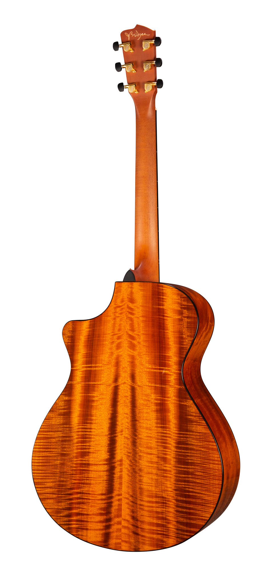 OREGON CONCERTO BOURBON CE JEFF BRIDGES, table myrtlewood massif, f/e myrtlewood massif, EQ LR Baggs EAS VTC, étui, bourbon