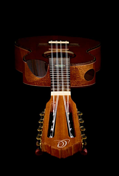 ECLIPSE-TE8, modèle Ténor 8 cordes pan coupé ergonomique, table acajou massif, fond & éclisses acajou massif, naturel brillant