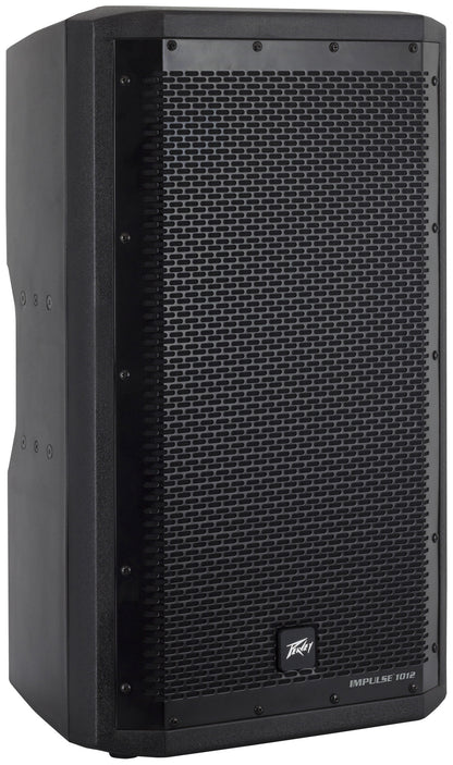 Enceinte passive 500 watts, 2 voies, woofer 12", driver titane, pavillon 110°x80°, protection contre les intempéries IP44, noir