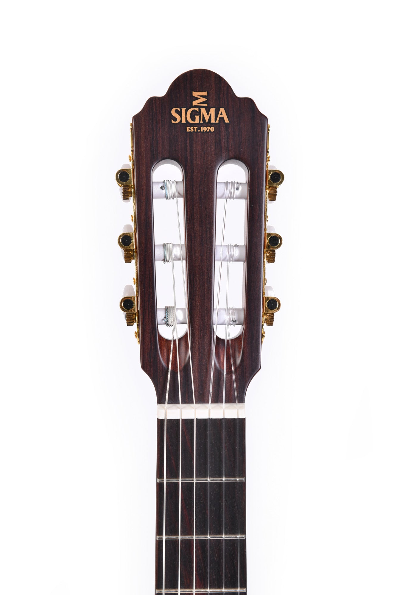 Modèle CTMC-2E, classique 4/4 pan coupé, table cèdre massif, f/e acajou, touche palissandre indien, EQ Sigma, naturel