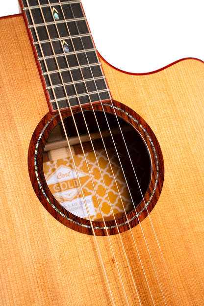 GOLD A10, forme Grand Auditorium, table épicéa Adirondack massif torréfié, f/e cocobolo massif, EQ Fishman, étui, brillant