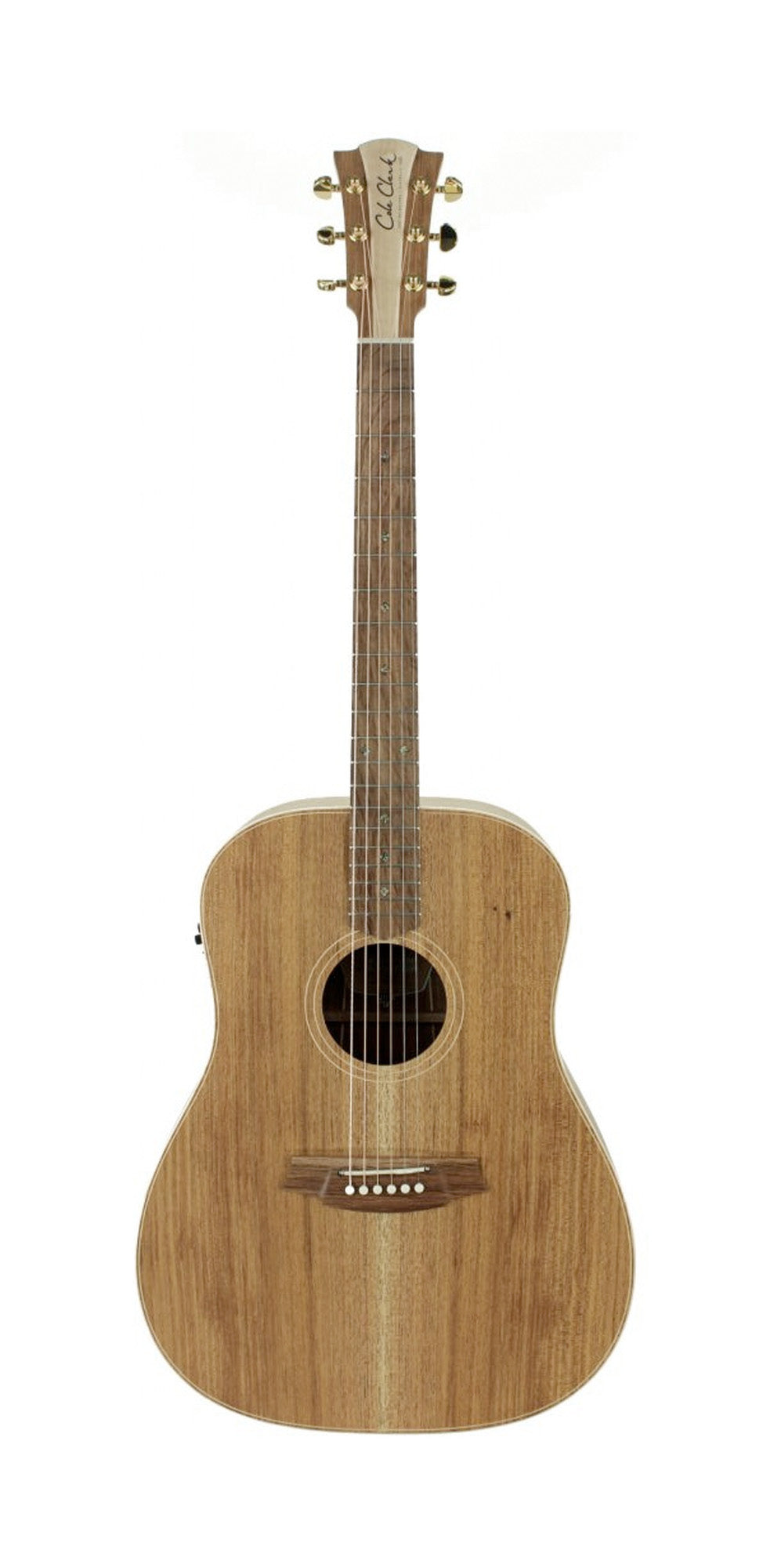 Fat Lady 2, Dreadnought, EQ 3 voix PG3, table blackwood massif, f/e blackwood massif, étui tweed