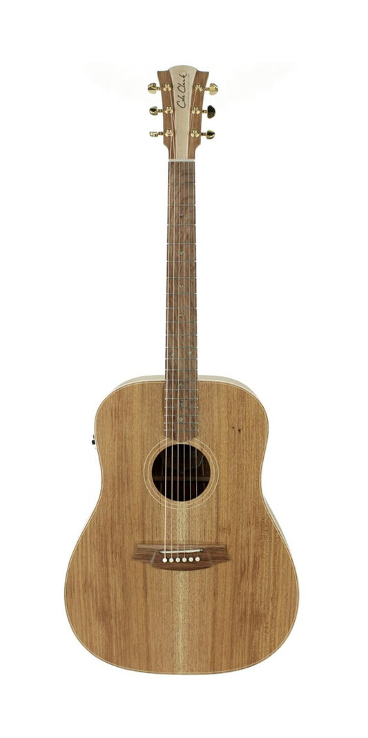 Fat Lady 2, Dreadnought, EQ 3 voix PG3, table blackwood massif, f/e blackwood massif, étui tweed