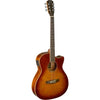 james neligan guitare folk BES-ACE DCB