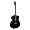 james neligan guitare folk BES-A BK