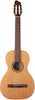 Godin Motif RN