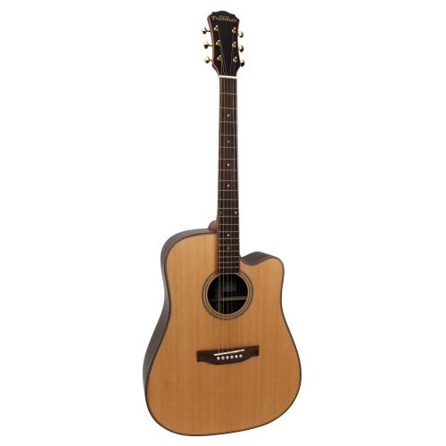 freshman guitare folk SONGDCERW dreadnought electro naturelle