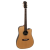 freshman guitare folk SONGDCERW dreadnought electro naturelle