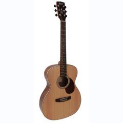 guitarra folk cort L100OMNS