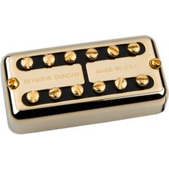 Seymour Duncan PSY-HOT-N-G