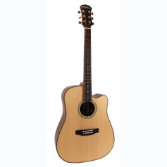 freshman guitare folk SONGDCE dreadnought electro naturelle