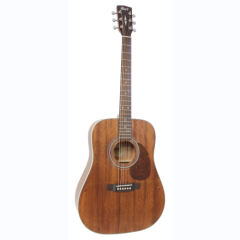 cort folk guitar E70MHOP